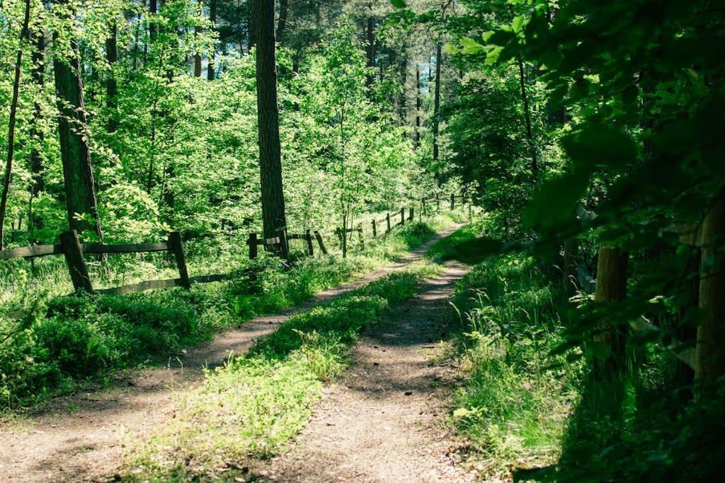Trojmiasto Nad Jeziorem Dom -Echochata Kamień 외부 사진